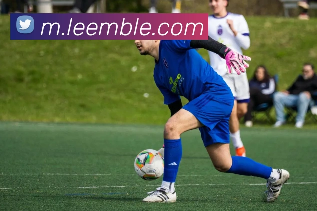 奖项证书
